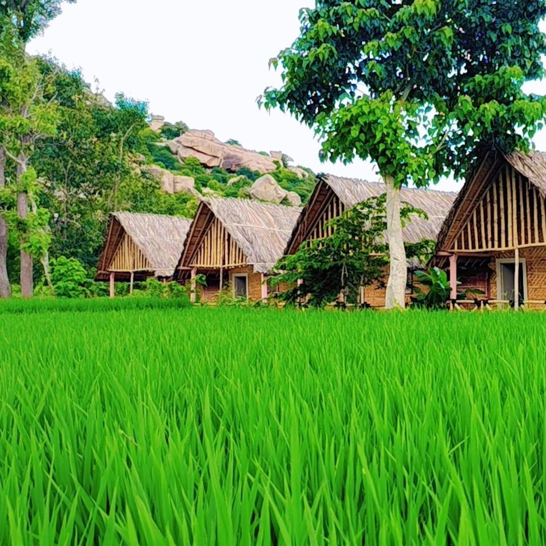 Om Shanti Om Home Stay & Cafe Hampi Kültér fotó